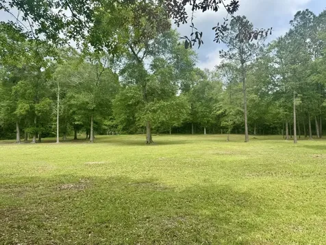 Tbd County Road 1325 Warren TX 77664