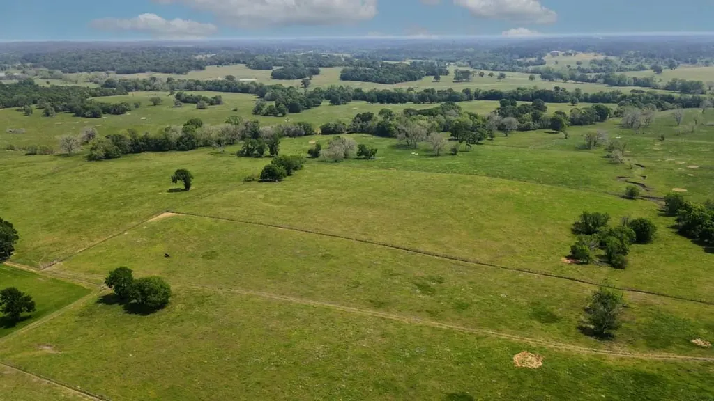 Tract #6 Cr 305 Road Navasota TX 77868