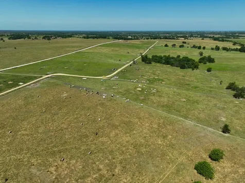 Tract #6 Cr 305 Road Navasota TX 77868