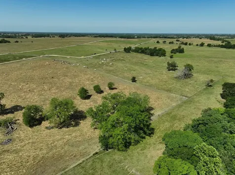 Tract #6 Cr 305 Road Navasota TX 77868