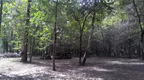 61 Shoreline Drive Cleveland TX 77327
