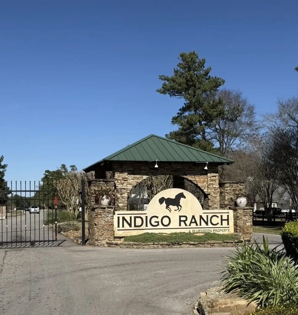 272303 Hitching Post Court Magnolia TX 77355