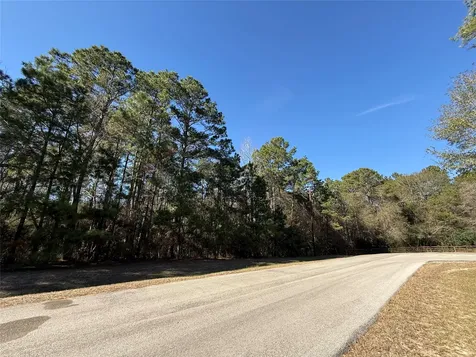 272303 Hitching Post Court Magnolia TX 77355