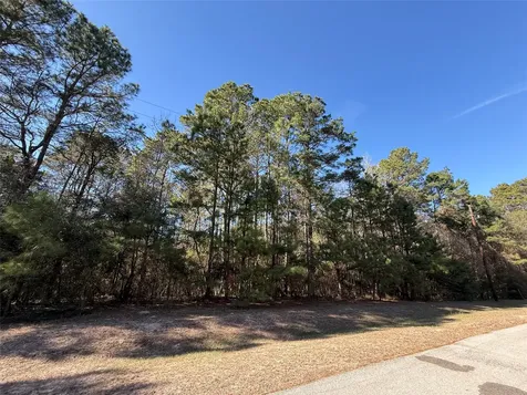 272303 Hitching Post Court Magnolia TX 77355