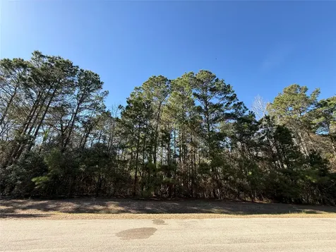 272303 Hitching Post Court Magnolia TX 77355