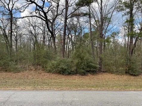 Tbd Fir Court Huntsville TX 77320