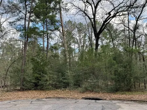 Tbd Fir Court Huntsville TX 77320