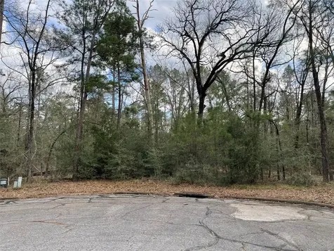 Tbd Fir Court Huntsville TX 77320