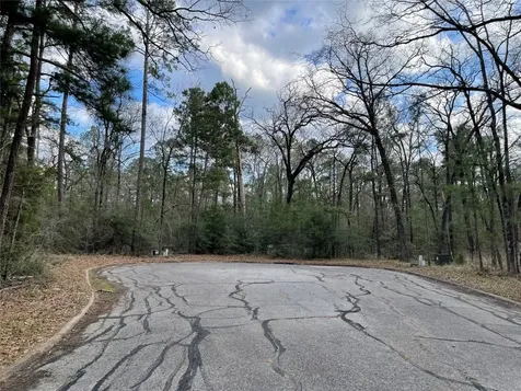 Tbd Fir Court Huntsville TX 77320