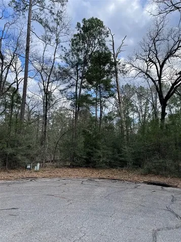 Tbd Fir Court Huntsville TX 77320