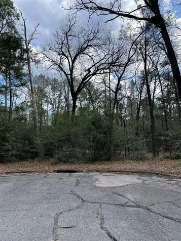 Tbd Fir Court Huntsville TX 77320