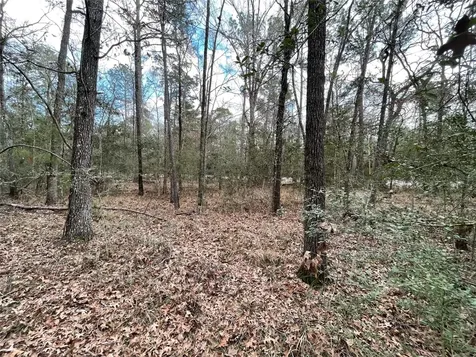 Tbd Fir Court Huntsville TX 77320