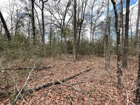 Tbd Fir Court Huntsville TX 77320