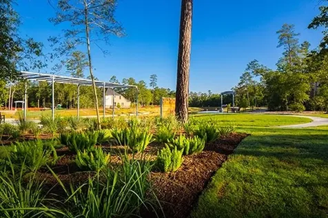 17108 Coneflower Place Conroe TX 77385
