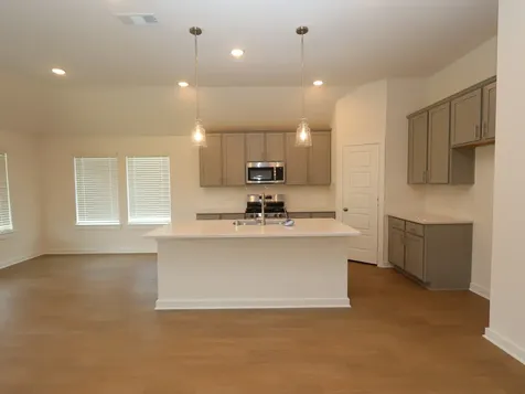 22551 Pagoda Dogwood Branch Drive New Caney TX 77357