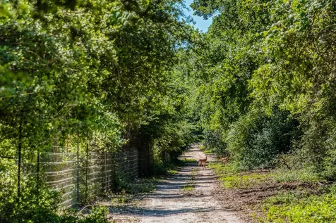 511 Lcr 793 Groesbeck TX 76642