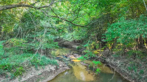 Tbd Butler Road Livingston TX 77351