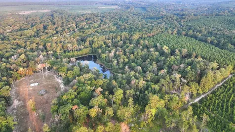 Tbd Butler Road Livingston TX 77351