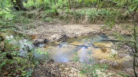 Tbd Butler Road Livingston TX 77351
