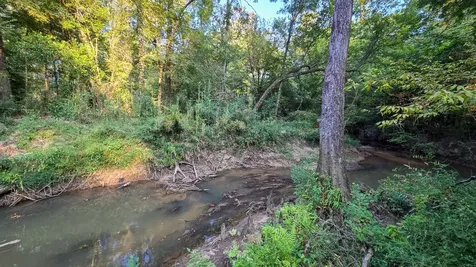 Tbd Butler Road Livingston TX 77351