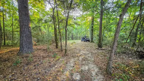 Tbd Butler Road Livingston TX 77351