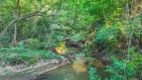 Tbd Butler Road Livingston TX 77351