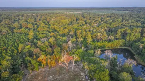 Tbd Butler Road Livingston TX 77351