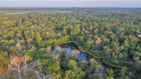 Tbd Butler Road Livingston TX 77351
