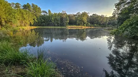 Tbd Butler Road Livingston TX 77351