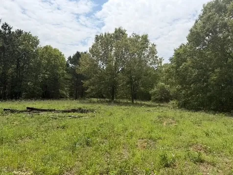 Cherokee Trail Lovelady TX 75851