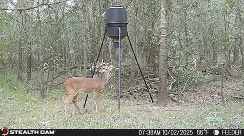 Cherokee Trail Lovelady TX 75851