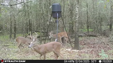 Cherokee Trail Lovelady TX 75851