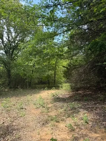 Cherokee Trail Lovelady TX 75851