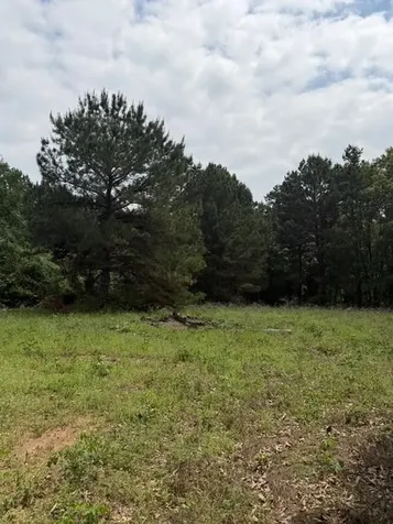 Cherokee Trail Lovelady TX 75851
