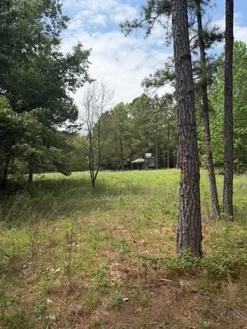 Cherokee Trail Lovelady TX 75851
