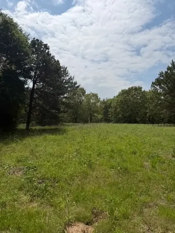 Cherokee Trail Lovelady TX 75851