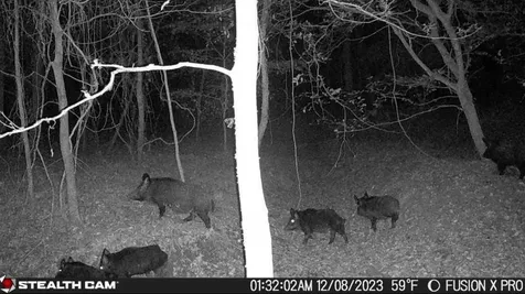Cherokee Trail Lovelady TX 75851