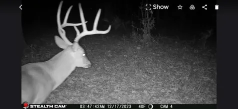 Cherokee Trail Lovelady TX 75851