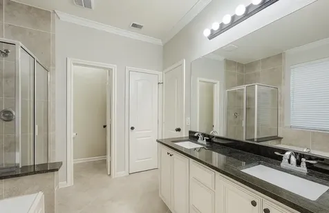 115 Red Eagle Court Montgomery TX 77316