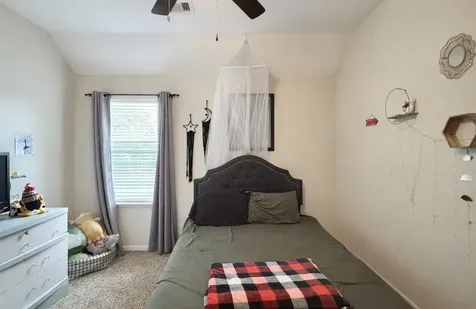 115 Red Eagle Court Montgomery TX 77316