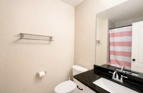 115 Red Eagle Court Montgomery TX 77316