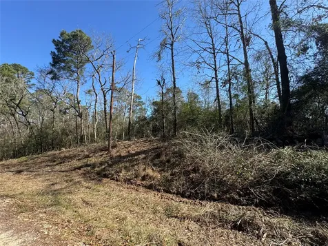 Lot 69 Wildwood Harbor Circle Onalaska TX 77360