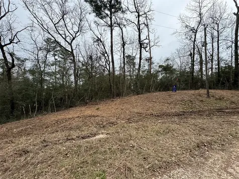 Lot 69 Wildwood Harbor Circle Onalaska TX 77360