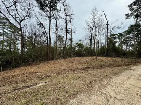 Lot 69 Wildwood Harbor Circle Onalaska TX 77360