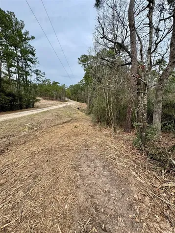 Lot 69 Wildwood Harbor Circle Onalaska TX 77360