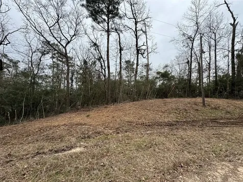 Lot 69 Wildwood Harbor Circle Onalaska TX 77360