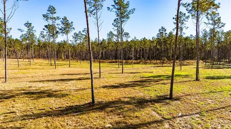 Lot 19 Big Buck Drive Moscow TX 75960