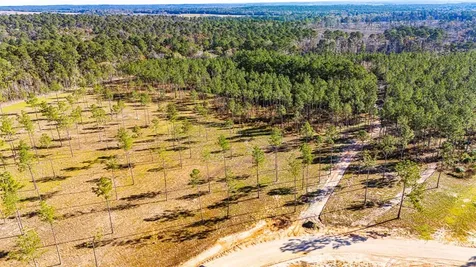 Lot 19 Big Buck Drive Moscow TX 75960