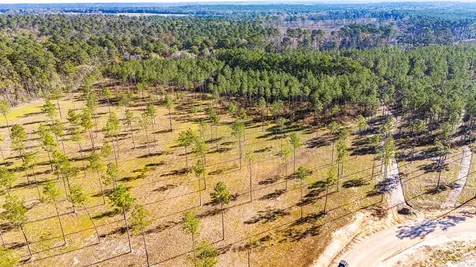 Lot 19 Big Buck Drive Moscow TX 75960