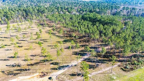 Lot 19 Big Buck Drive Moscow TX 75960